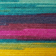 Load image into Gallery viewer, James C Brett Aurora Chunky New
