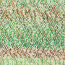 Load image into Gallery viewer, WYS Signature 4Ply (Ideal for socks)
