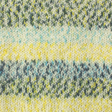 Load image into Gallery viewer, WYS Signature 4Ply (Ideal for socks)

