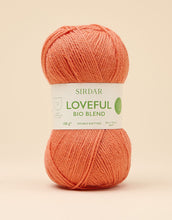 Load image into Gallery viewer, Sirdar loveful Bio Blend D.K New

