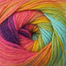 Load image into Gallery viewer, James C Brett Aurora D.K
