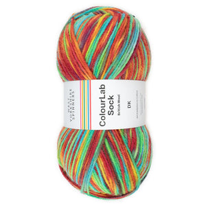 Colour Lab D.K Sock Yarn