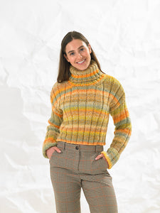 James C Brett Pattern JB860: Sweaters
