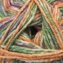 Load image into Gallery viewer, James C Brett Funny Feetz with Bamboo 4pLY
