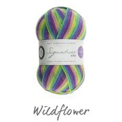 WYS Signature 4Ply (Ideal for socks)