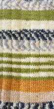 Load image into Gallery viewer, Stylecraft Head over Heels - Walking in Nature 4Ply
