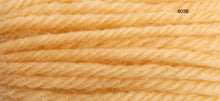 Load image into Gallery viewer, Anchor Tapestry Wool Numbers 8000- 8354
