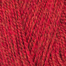 Load image into Gallery viewer, Stylecraft Highland Heathers D.K

