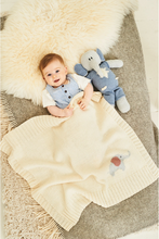 Load image into Gallery viewer, Stylecraft Pattern 9854: Blanket &amp; Toys
